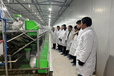 適用于寵物主人、農場和動物飼養者的次氯酸發生器。