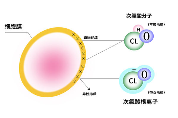 微信圖片_20220218095609.jpg