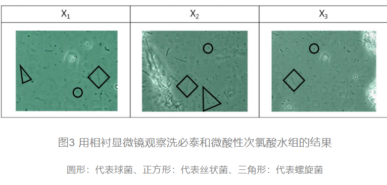 次氯酸發(fā)生器研究表格