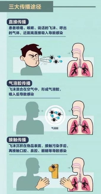 病毒的三大傳播途徑圖示 病毒的三大傳播途徑圖示