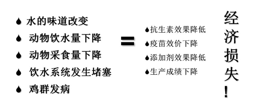 如何改善雞群飲水系統(tǒng)